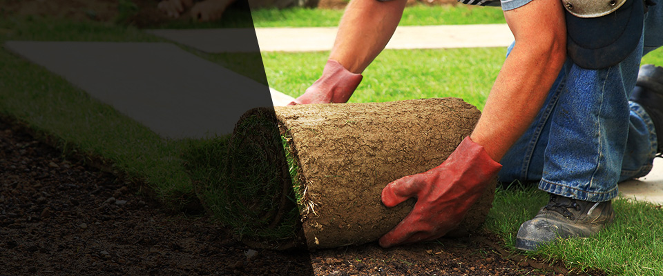 Kill Devil Hills Landscapers